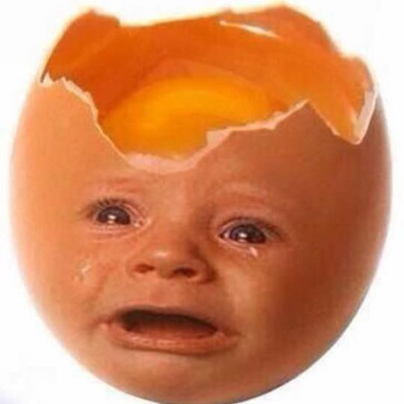 Meet your Posher, Monique - Picture 1 of 1